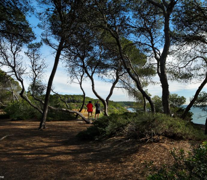 © Rafael López- Monné / Tarragona Turisme