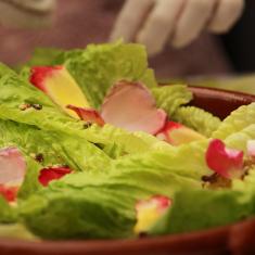 Domus Apicius, experiències gastronòmiques romanes - experiencias gastronómicas romanas, Tarragona