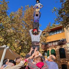 L'Embutada, la Festa del Vi Novell / la Fiesta del Vino Nuevo de Tarragona