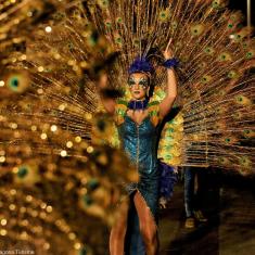 Sàtira, ploma, tradició i molt més s’uneixen al Carnaval tarragoní