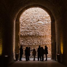 Tarragona romana. La ciutat i les persones de fa 2000 anys